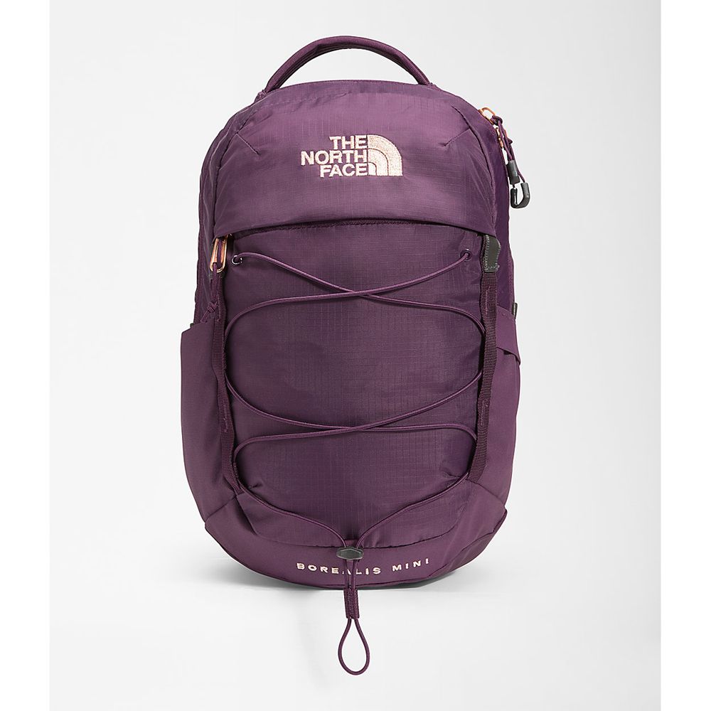 The North Face Backpacks Boys Australia - The North Face Borealis Mini Burgundy / Black / Rose Gold